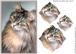 Cat Splendid Pyramid 3