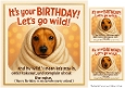 DD FUNNY BIRTHDAY QUICK CARD 1