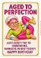 DD FUNNY SENIOR FEMALE BIRTHDAY A4 3