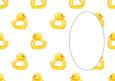 Baby Duck Toy Insert