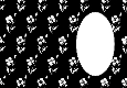 Floral Black and White Insert 1