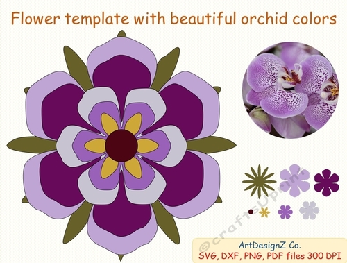 Beautiful flower template with orchid colors