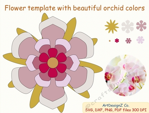 Beautiful flower template with orchid colors