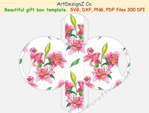 Beautiful gift box template. Simple box, curved box, circle box, storage box, shipping box. 