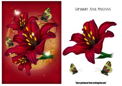 Beautiful Red Lily