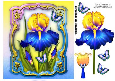 Beauty of Irises Card Front