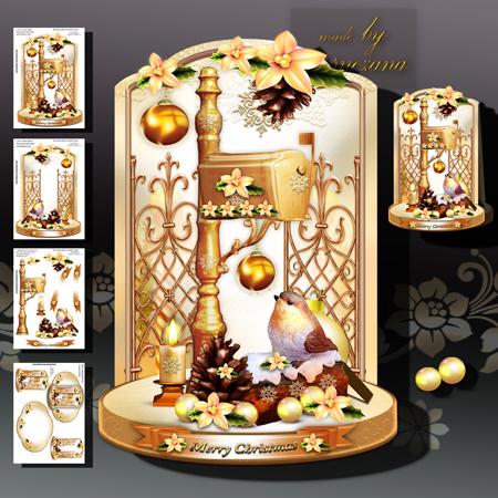 Decorative Robin Bird with Mailbox Card