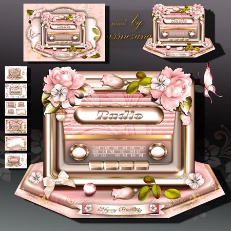 Beautiful Soft Rose Vintage Retro Radio with Roses