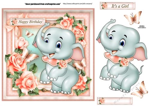 Baby Girl Birthday Topper