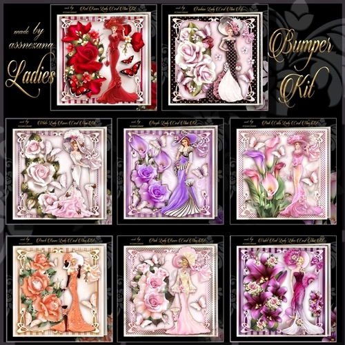 Bumper Kit of 8 Ladies