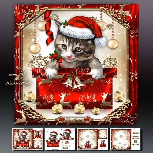 Festive Christmas Box With Pussy Cat Mini Kit