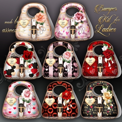 Bumper Kit Valentine Ladies Handbags