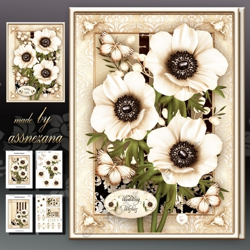 Wedding Anniversary Birthday Cream Anemone Card