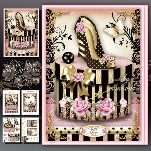 Ladies Shoes and Gift Box for All Occasions Mini Kit