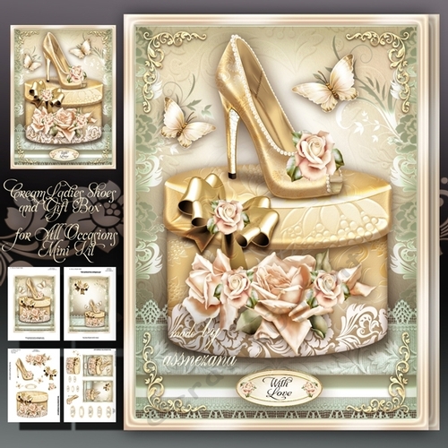 Cream Ladies Shoes and Gift Box for All Occasions Mini Kit