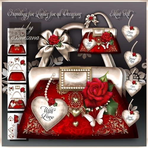 Handbag for Ladies for all Occasions