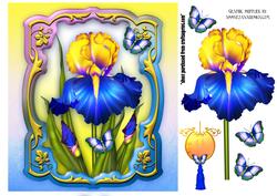 Beauty of Irises Card Front