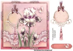 Soft White Iris Front Card