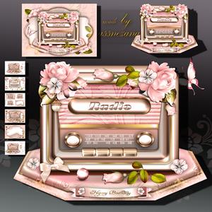 Beautiful Soft Rose Vintage Retro Radio with Roses