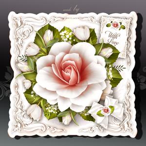 White Roses