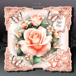 Peach Roses Card