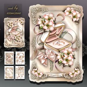 Wedding Engagement Rings Card Mini Kit