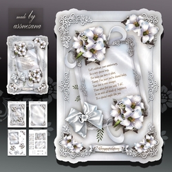 Anniversary Silver Wedding Card Mini Kit