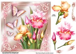 Iris Bouquet