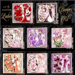 Bumper Kit of 8 Ladies