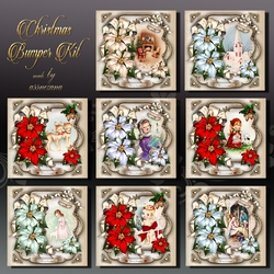 Christmas Bumper Kit with Poinsettias