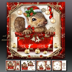 Festive Christmas Box With Squirrel Mini Kit