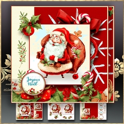 Cute Happy Santa Claus Mini Kit