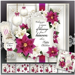 Christmas Bordeaux White Poinsettias with Verse Mini Kit