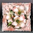 Soft Vintage White Flowers Card