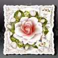 White Roses