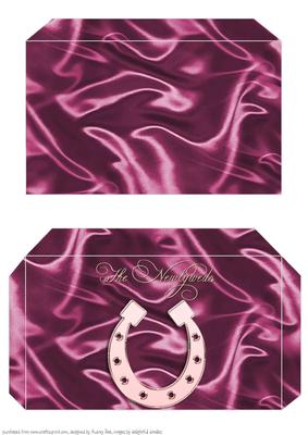 Money Envelope Magenta Newlyweds 2