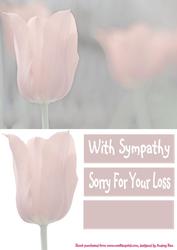 With Sympathy Pink Tulip