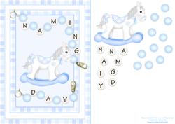 Naming Day Boy