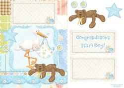 Congratulations Its a Boy!