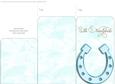 Money Envelope Aqua Newlyweds