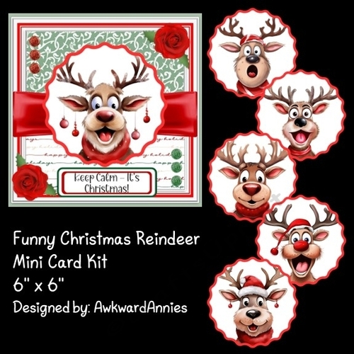 Funny Christmas Reindeer