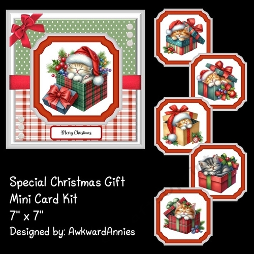 Special Christmas Gift