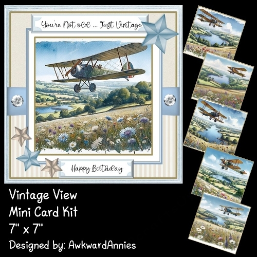 Vintage View