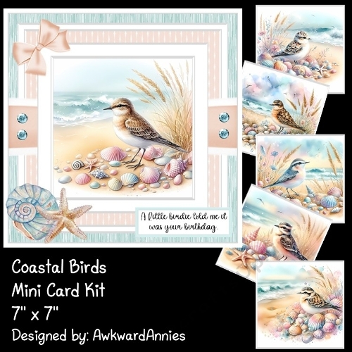 Coastal Birds