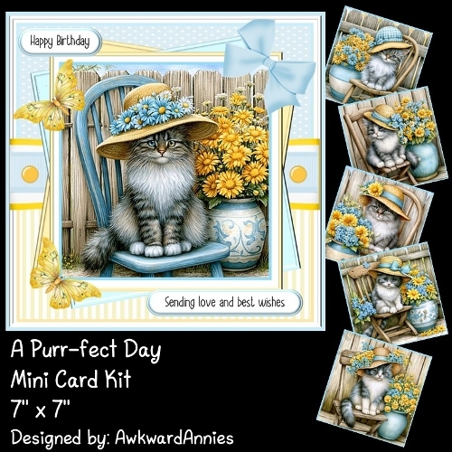 A Purr-fect Day