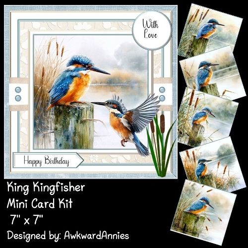 King Kingfisher