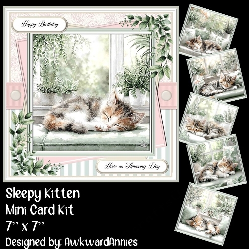 Sleepy Kitten