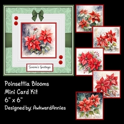 Poinsettia Blooms