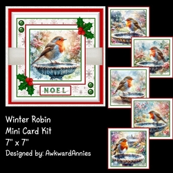 Winter Robin