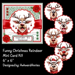 Funny Christmas Reindeer